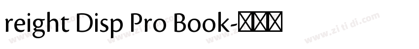 reight Disp Pro Book字体转换